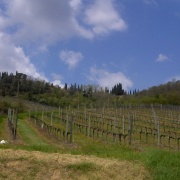 21_San Gimignano (2)
